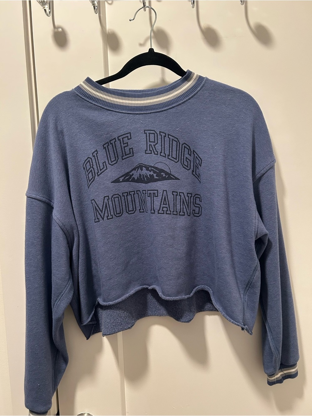 American Eagle Blue Ridge Mountains Cropped Sweatshirt